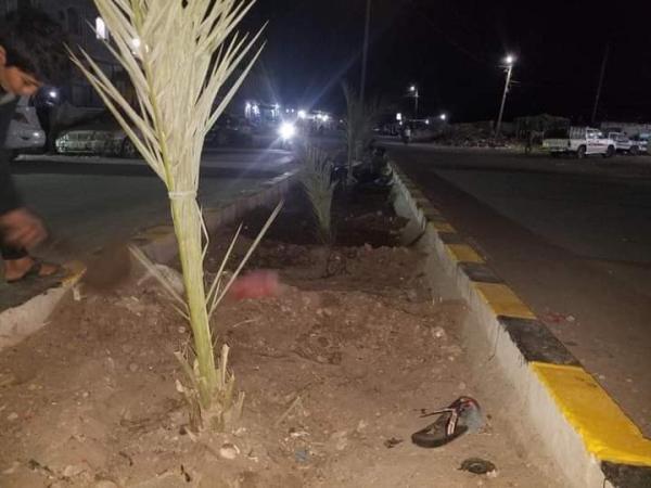 مبادرة طوعية برئاسة البعداني لزراعة ألف نخلة في الخوخة