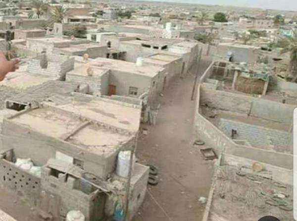 متحوثون يسرقون منازل النازحين في الدريهمي