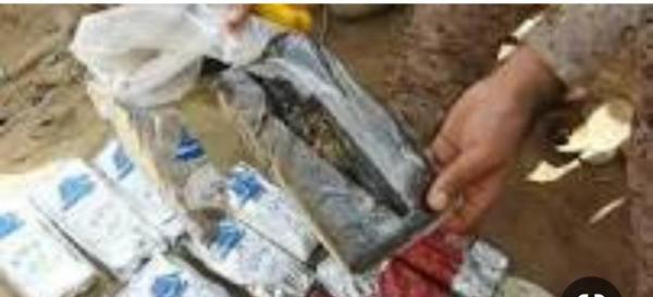 شبكة تهريب مخدرات مرتبطة بالحوثي تقع بقبضة أمن ذو باب بتعز 