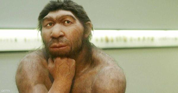 دليل جديد يعيد رسم تاريخ المشي المنتصب لدى أسلاف البشر