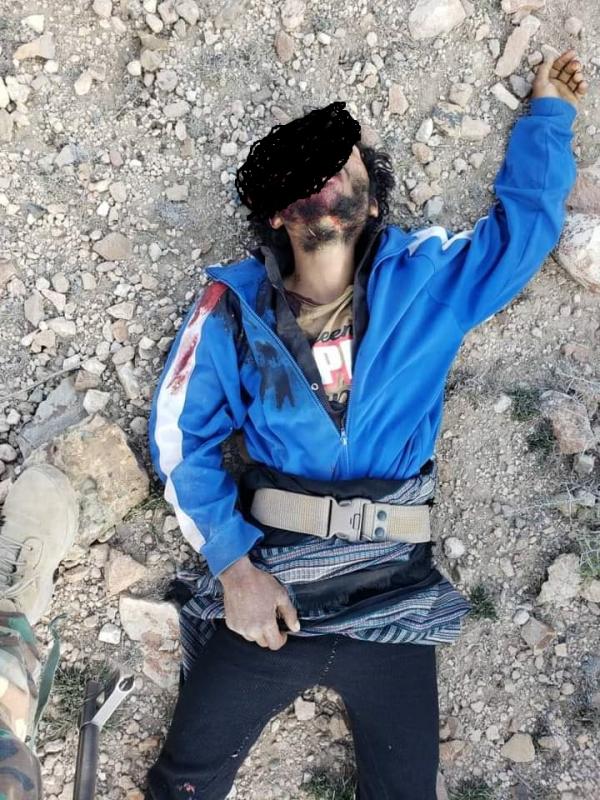 شاهد - فيديو وصور مرعبة لعمليات شنق وسحل جثث نفذها الحوثيين بطريقة متوحشة في "حيمة تعز"