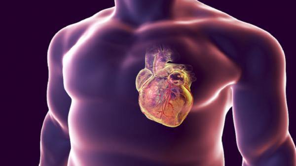 إضافات بسيطة للوجبات تقلل مخاطر الإصابة بأمراض القلب