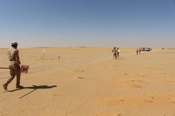 تفكيك حقول ألغام حوثية في الجوف