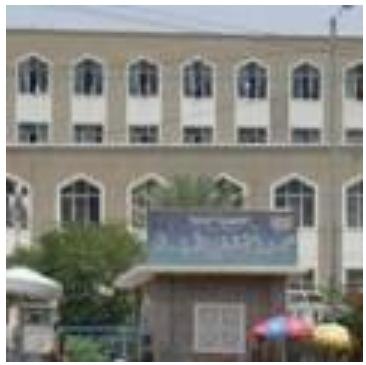 تفشي الحميات الفيروسية بتعز