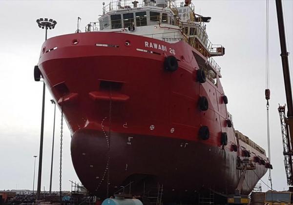 الحوثيون يرفضون دعوة مجلس الأمن للإفراج عن روابي