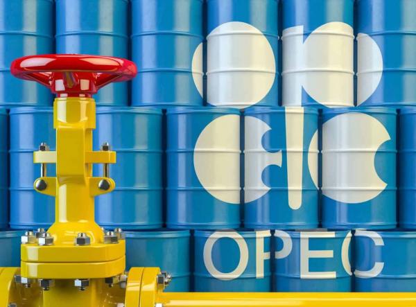 ارتفاع سعر سلة خامات "أوبك" إلى 81.86 دولار