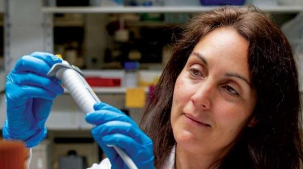 هل اقترب جهاز المناعة من إيجاد الخلايا السرطانية وتدميرها؟