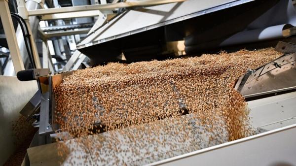 روسيا قبضت ثمن حبوبها من تركيا بالروبل وتدرس الأمر نفسه مع مصر