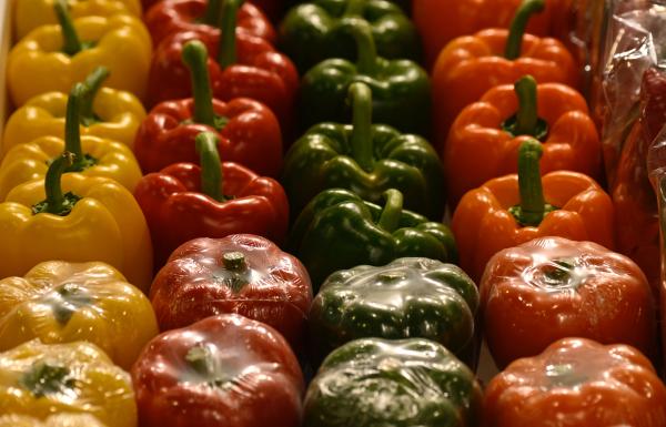 الفلفل الأحمر والأصفر والأخضر.. ما الفرق؟ وأيهم صحي أكثر؟