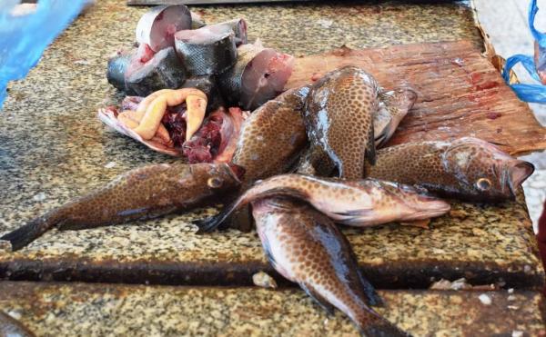 استياء كبير في الشارع العدني مع ارتفاع أسعار الاسماك 