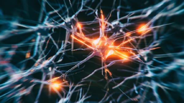 "ليست إحدى الأعراض الثلاثة المنذرة" .. الكشف عن أول علامة تحذيرية لمرض باركنسون!