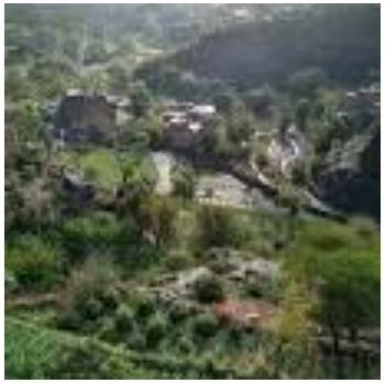 تعز.. فساد الاخوان يواصل حصد أرواح نساء المواسط طبيا