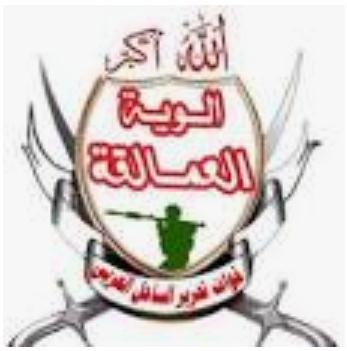 أولوية العمالقة تعلن استكمال عملية "إعصار الجنوب" بنجاح