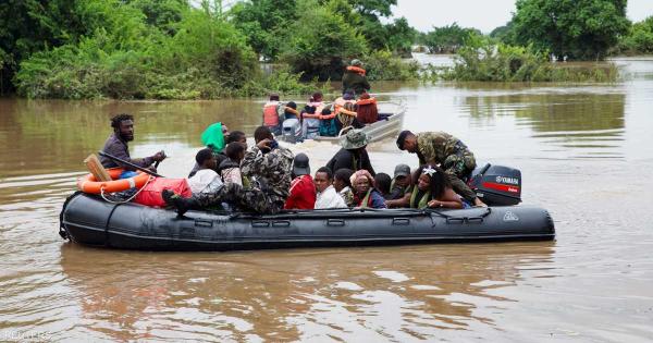 فيضانات موزمبيق تجبر السكان على مواجهة التماسيح في المدن المغمورة بالمياه