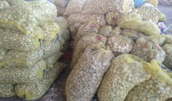   المنتجات الإيرانية تفضح ادعاءات الحوثي في دعم المزارعين وتحويل الجوف لمدينة خضراء 