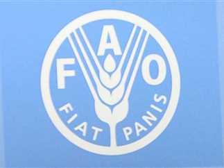 نقص التمويل يهدد بمجاعة في اليمن