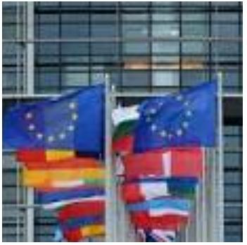 برلمانيون أوربيون يطالبون بوضع الحوثي في قائمة الإرهاب