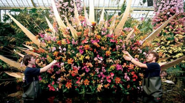 مهرجان لزهرة «أوركيد» في لندن احتفاء بالتنوع البيئي في كوستاريكا