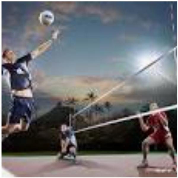 اتحاد الطائرة يُوقف دوري "تجمع سيئون" الممتاز 