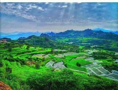 ميليشيا الحوثي تحرق منزل مواطن في ذمار وتعتقل شيخ وعدد اخرين