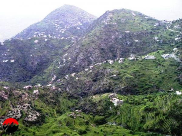 اللجنة الوطنية للتحقيق توثق 82 انتهاكا في مديرية الصلو بتعز دون الإشارة لمنتهكي حقوق الانسان 