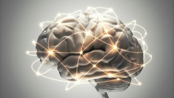 سر بـ30 ثانية.. خطأ قد يفك لغز نشاط للدماغ بعد الموت