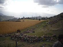 عناصر حوثية تقتل شابا في إب والمواطنون يلقون القبض على الجناة 