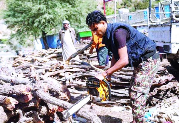 الاحتطاب الجائر بديلاً لشح وغلاء الغاز في اليمن