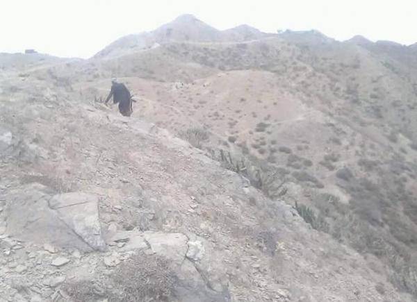 مصدر قبلي يكشف حقيقة مايجري في حجور بحجة..؟!