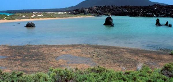 غرق أسرة كاملة أثناء توجهها لحضور عرس بجزيرة كمران  