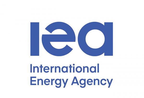 وكالة الطاقة تقترح أن تنشئ الدول احتياطيات من المعادن الاستراتيجية