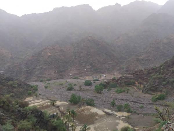 مسلح يوقف أعمال توسعة طريق المليوي زريقة الشام 