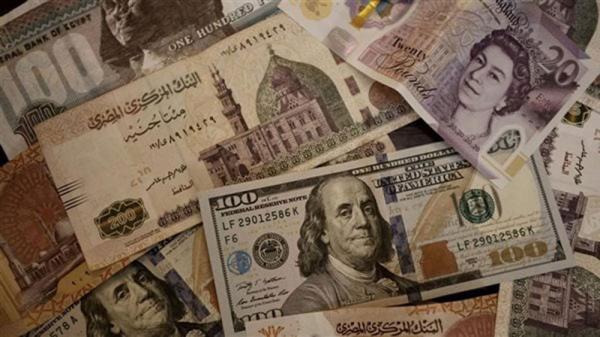مصر.. الجنيه يستقر عند 49.5 أمام الدولار بعد تحرير سعر الصرف