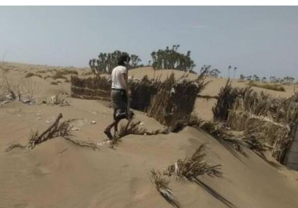 الرمال المتحركة بالخوخة تجبر سكانها على النزوح