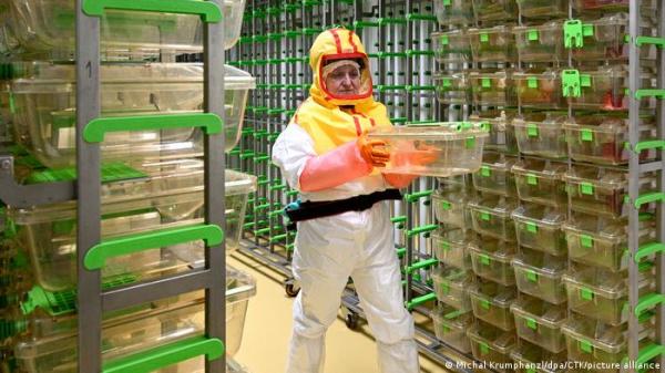 "فيروسات زومبي".. علماء يعيدون للحياة فيروسات متجمدة منذ آلاف السنين