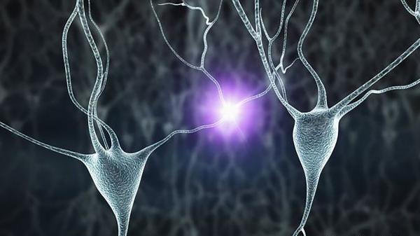 رصد خلايا عصبية في المخ تتجاوب مع الغناء فقط