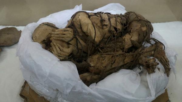 العثور على أقدم مومياء معروفة في التاريخ بالبرتغال