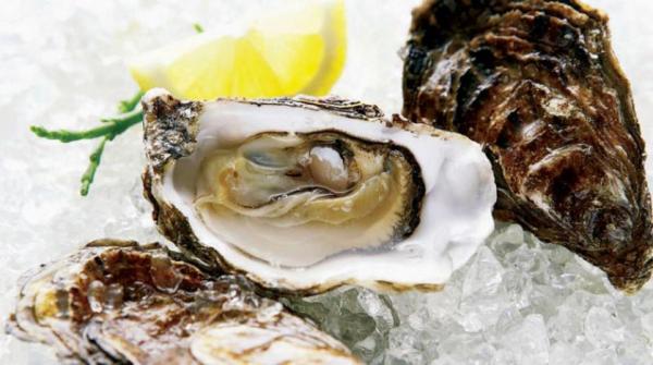 أفضل المحار في نورماندي