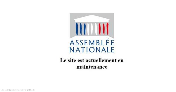تعطل موقع الجمعية الوطنية الفرنسية.. وحديث عن "تورط روسي"