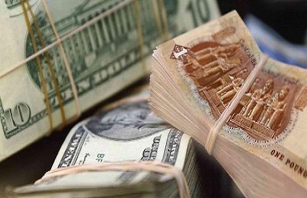سعر الدولار مقابل الجنيه المصري اليوم الثلاثاء