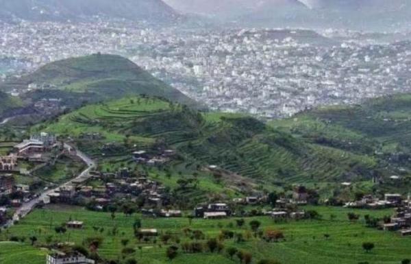 مزارعو النادرة يتعرضون للنهب الحوثي المنظّم باسم "الجهاد بأموالهم"