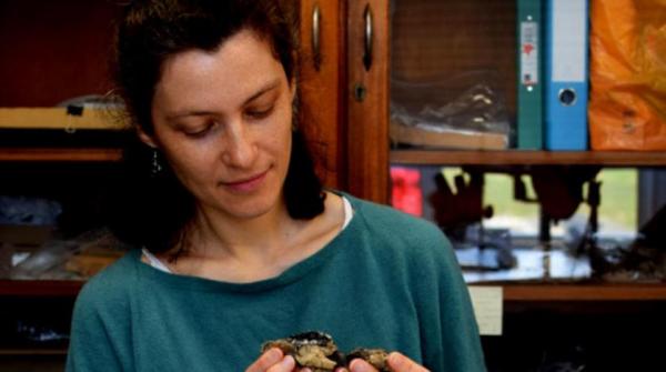 «العضلات قبل المخ» في عالم ما بعد الديناصورات