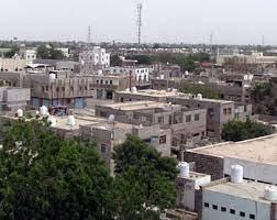 داء الكلب يجتاح قرى لحج 