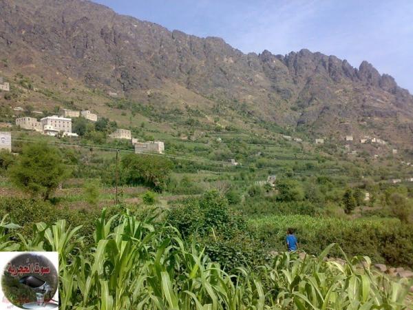 اغتيال قيادي حوثي في تعز