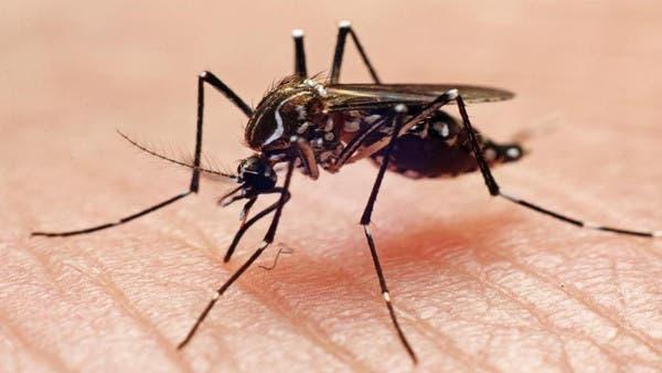 الصحة العالمية: تغير المناخ يساعد على تفشي الضنك وأمراض أخرى