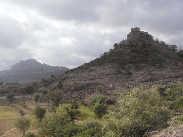 اشتباكات بين أسرتين باصابح تعز على ارض وسقوط قتلى وجرحى