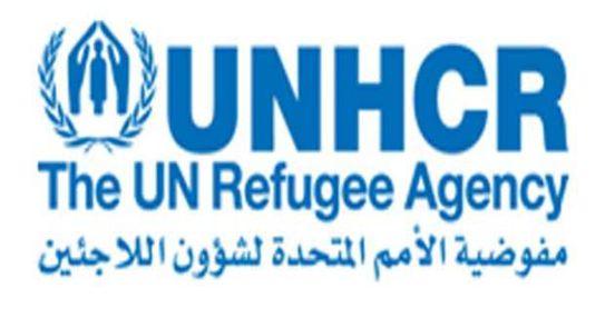 اليابان 4.4 ملايين دولار لنازحي اليمن