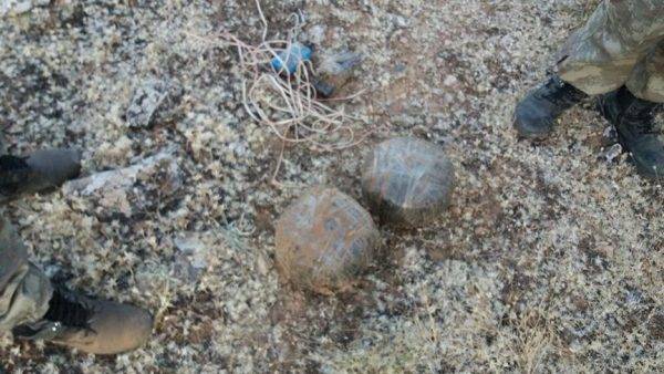 الألغام الحوثية تقتل خمسة مواطنين من اسرة واحدة في الجوف