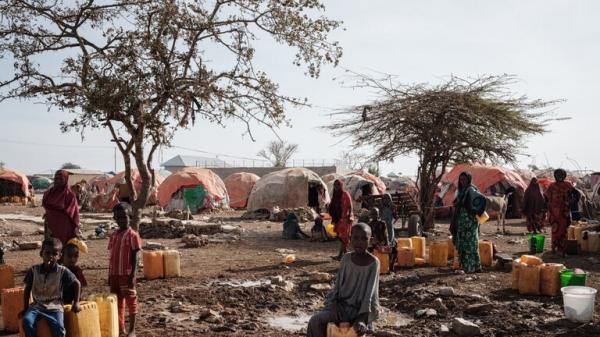 البنك الدولي يحذر من كارثة إنسانية جراء أزمة الغذاء