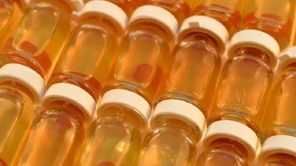 العلماء الروس يبتكرون مشروبا غنيا باليود والفيتامينات والعكبر لتحسين الحالة الصحية